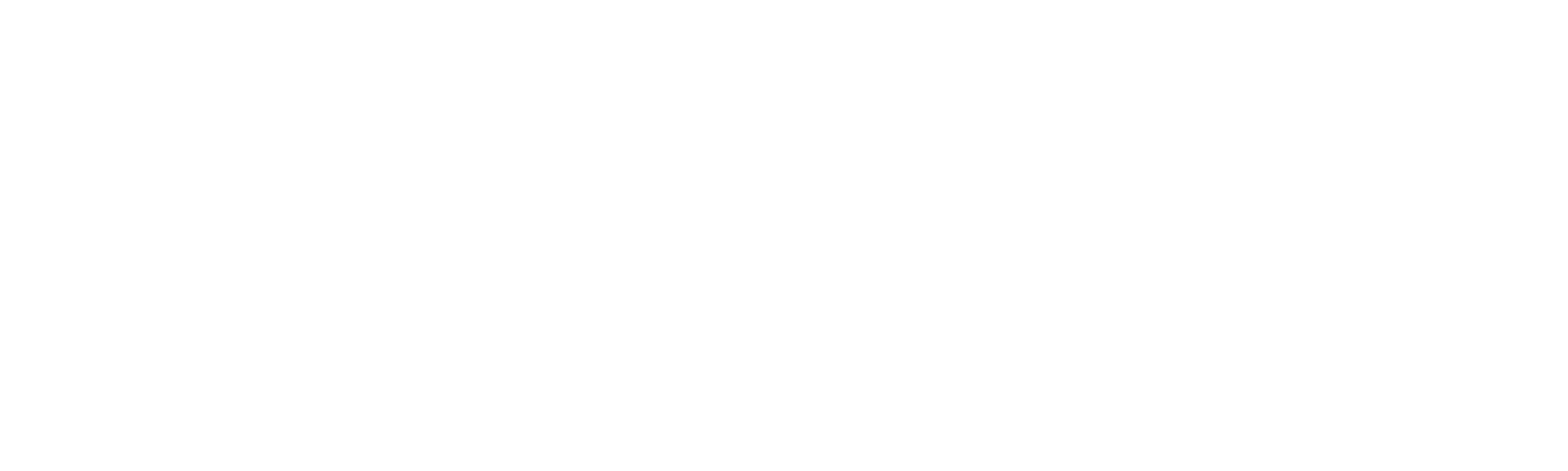 Countless Skies Logo